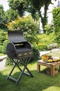Addizio compacte gasbarbecue