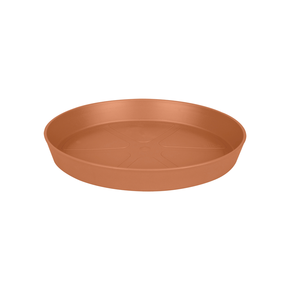 Loft Schotel Rond 34 Terra