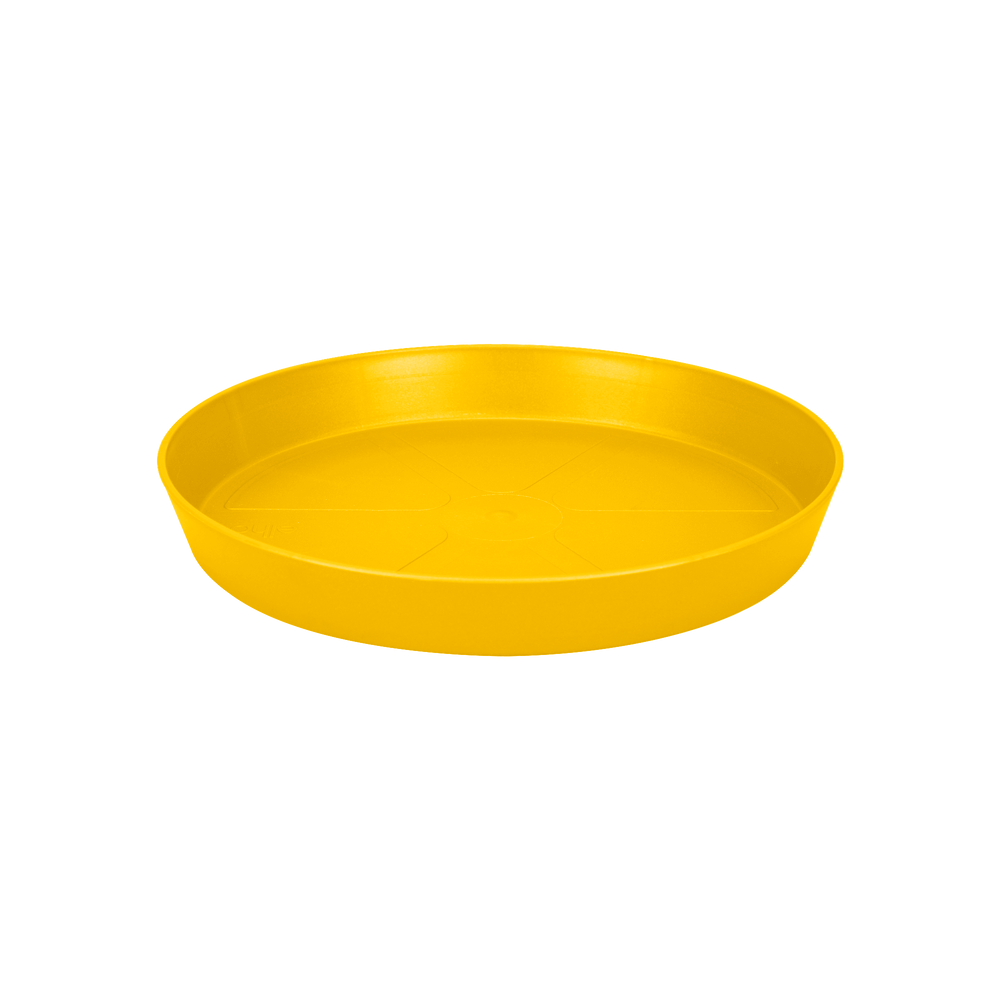 Loft Schotel Rond 34 Oker