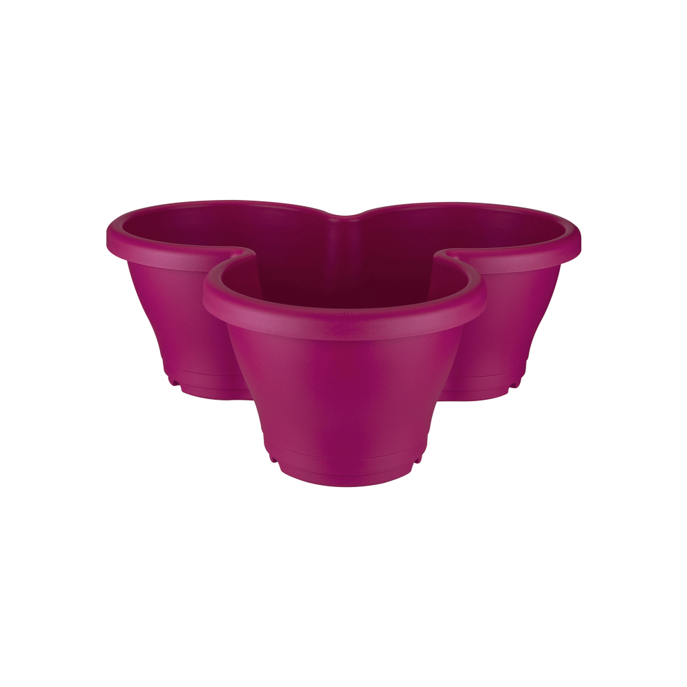 Corsica Verticaal Tuinieren M Kers