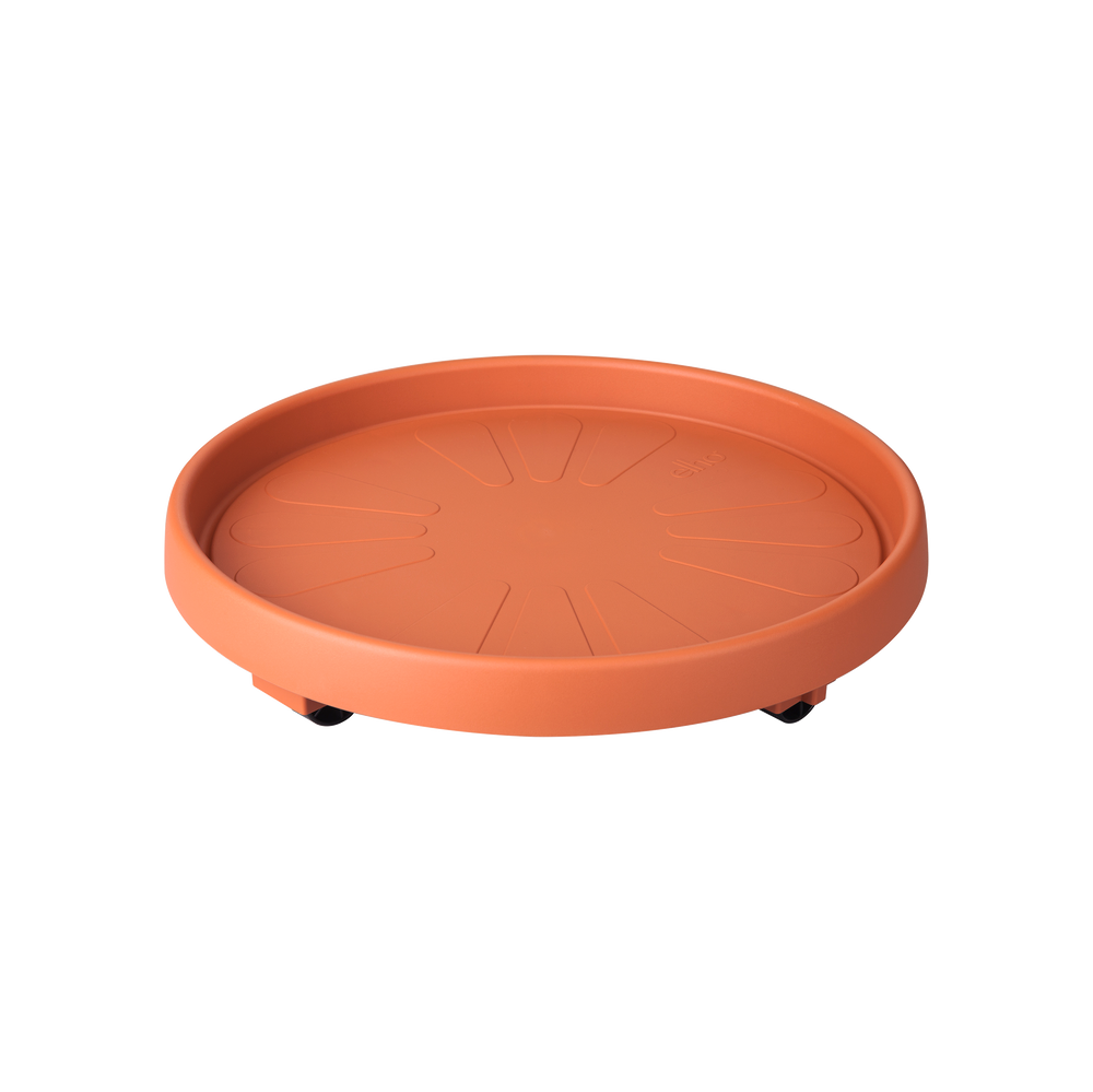 Universele Planttaxi 30Cm Terra