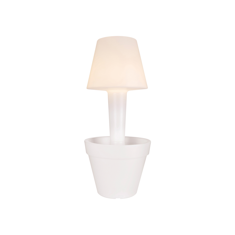 Pure Twilight 50 Transparant