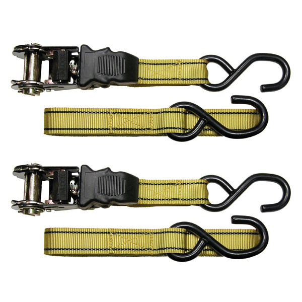 Carpoint Spanbandenset luxe met ratel 2 x 5 meter
