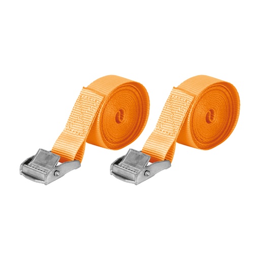 Carpoint Spanbanden 2 x 4,5 meter