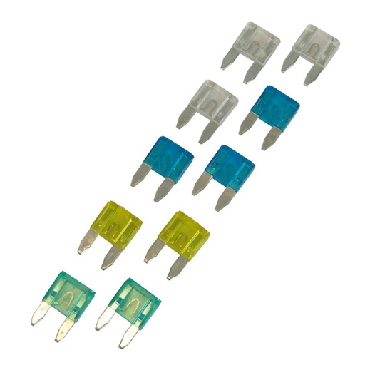 Carpoint Mini Steekzekering Assortiment 15-30A 10 Stuks