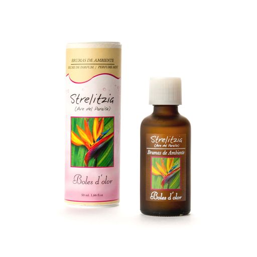 GEUROLIE - STRELITZIA