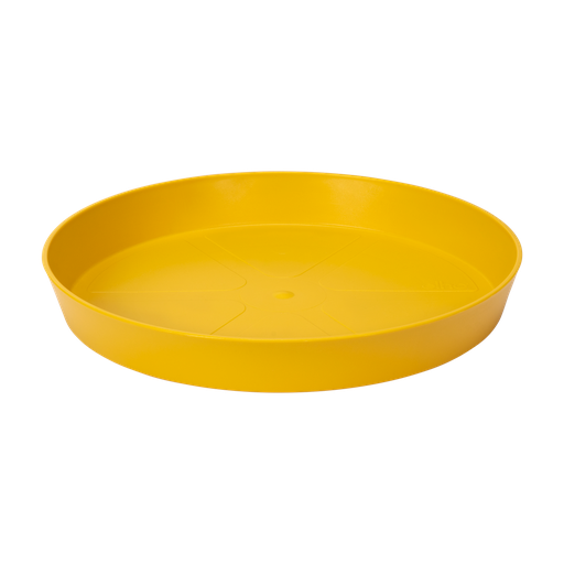 Loft Urban Schotel Rond 28 Oker