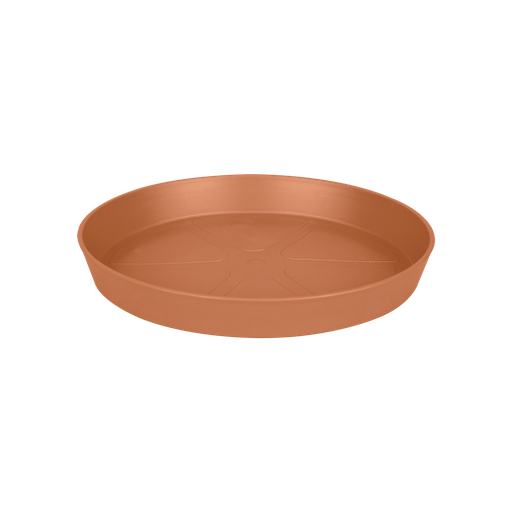 Loft Schotel Rond 34 Terra