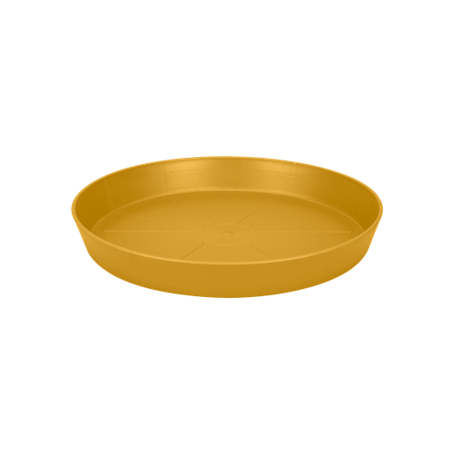 Loft Urban Schotel Rond 21 Honinggeel