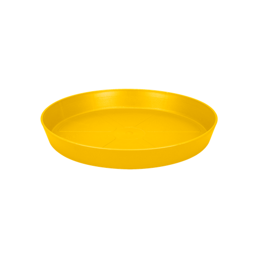 Loft Schotel Rond 34 Oker