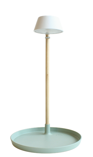 Plant Light Care Gletsjer Grijs